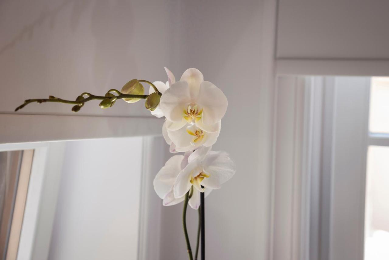 ハニア Casa Regina Luxury Houseヴィラ エクステリア 写真